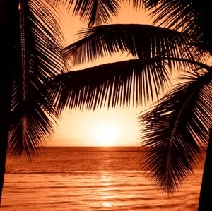 Meet your Posher, Isbella